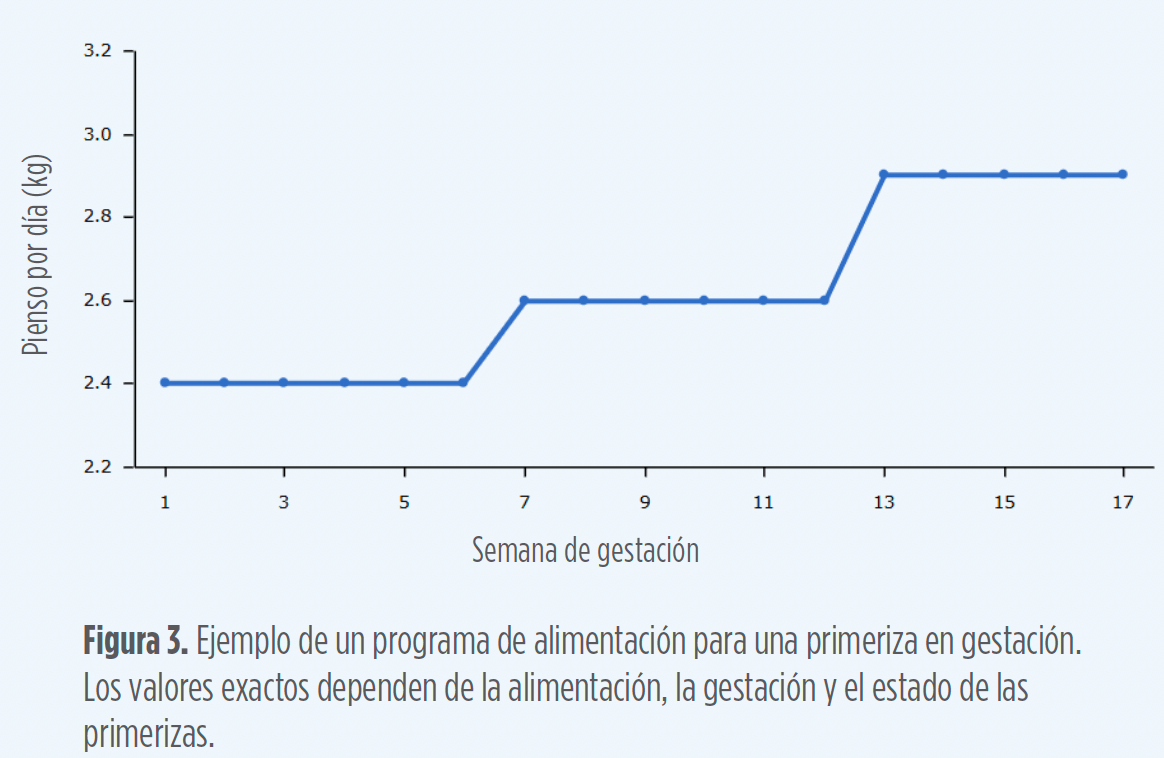 primerizas