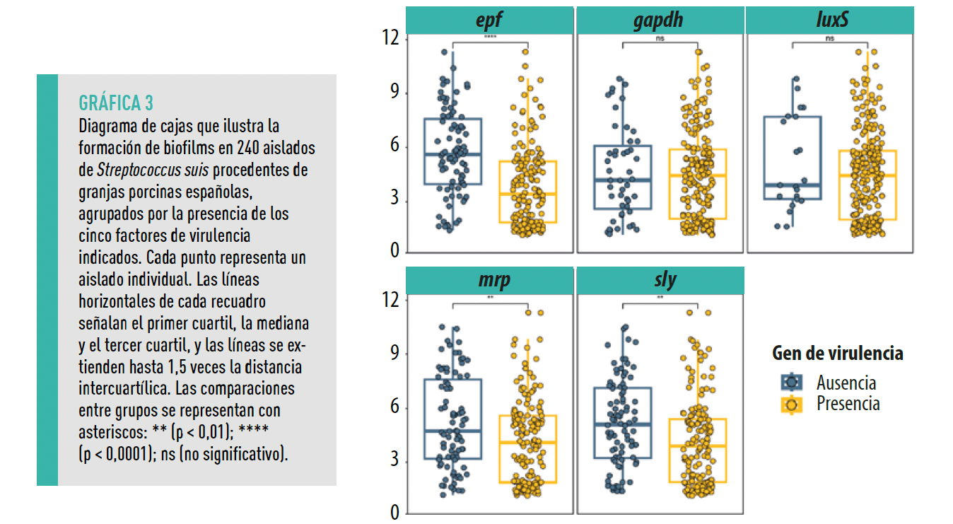 grafica 3