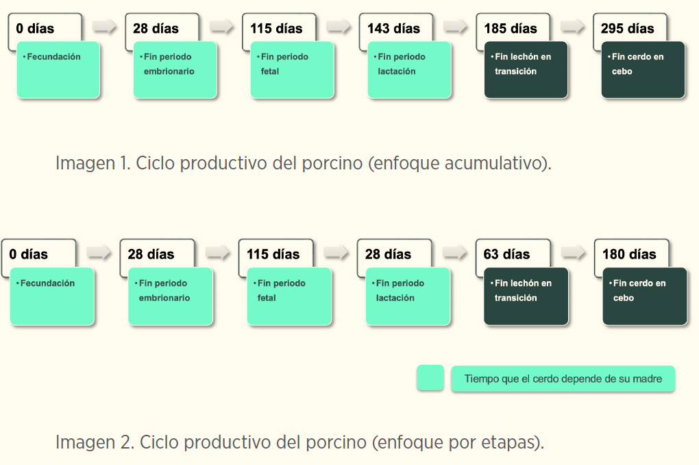imagen1 y 2
