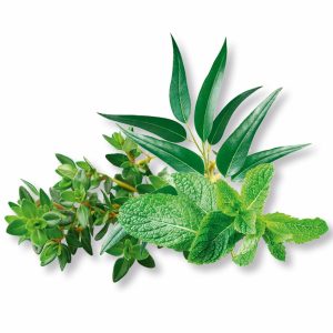 aceites esenciales