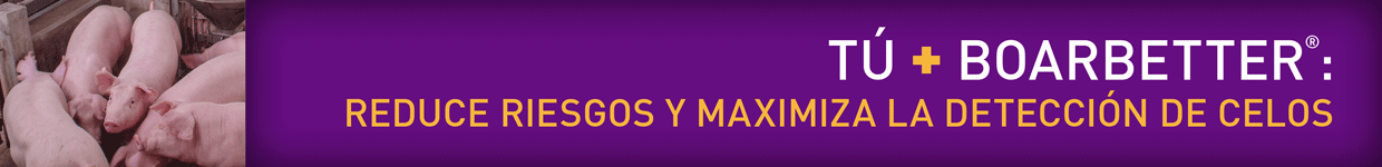 Vetoquinol mayo 2025