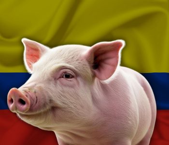 Producción porcina en Colombia crece 171% en dos décadas, según BBVA Research.