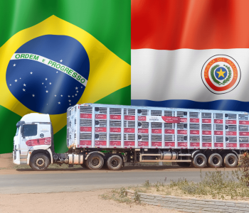 presença no Paraguai