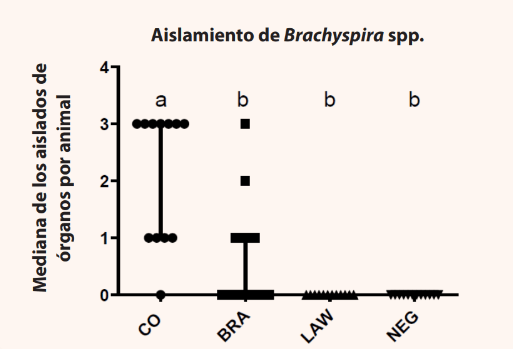 grafica 1 