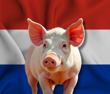 Paraguay habilita el mercado de Singapur para carne porcina, bovina y avícola, consolidando su presencia en Asia.