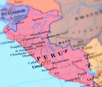produccion-porcina-peru-trimestre-2025
