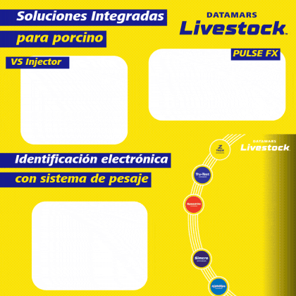 Datamars junio 2025