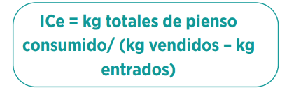 IC ECONÓMICO