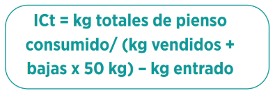 IC TÉCNICO