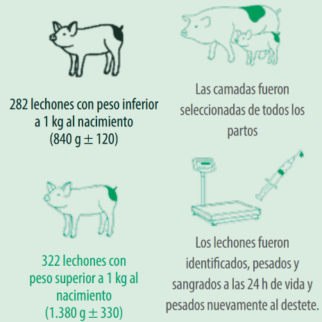 Materiales y métodos