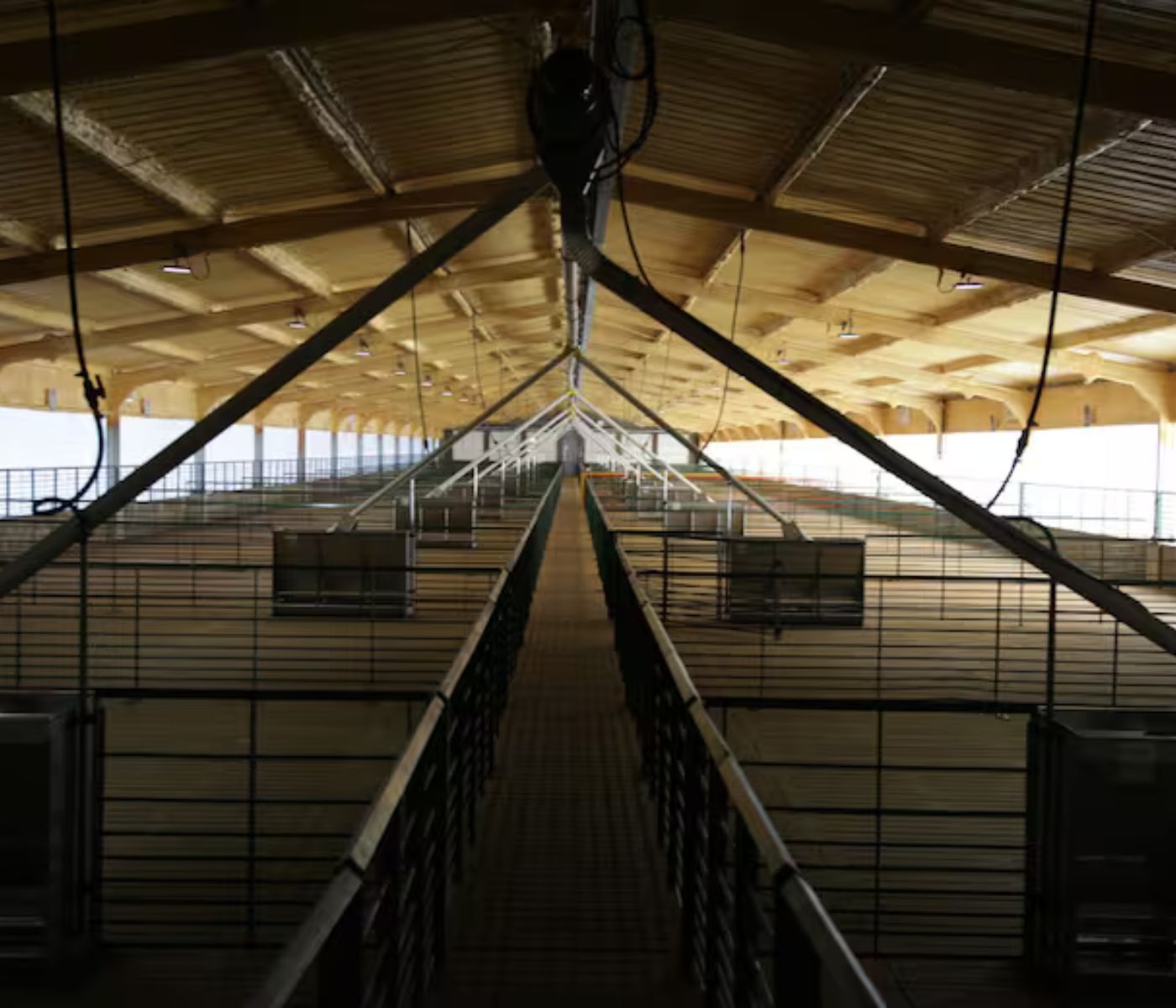 Argentina: Mirgor inaugura su primera planta de producción porcina en Buenos Aires