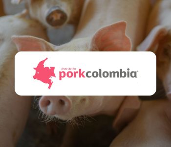 Porkcolombia lanza la Encuesta de Comercialización de Carne de Cerdo 2025 para fortalecer el mercado porcino en Colombia.