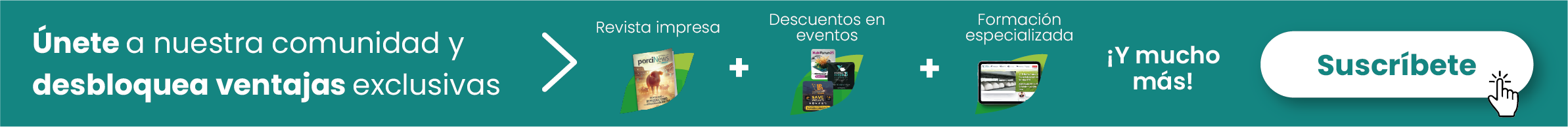 suscripciones porcinews