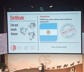 La OMSA ratificó el estatus sanitario de Argentina como país libre de Fiebre Aftosa con zonas diferenciadas.