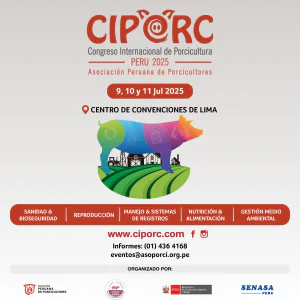 http://Ciporc1