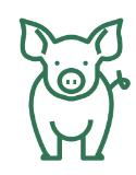 cerdo emoji 