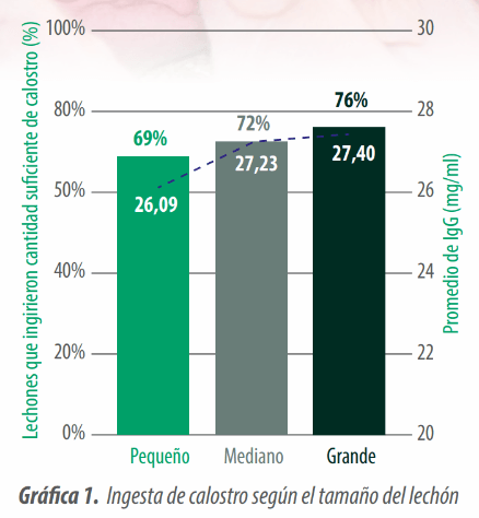 grafica 1