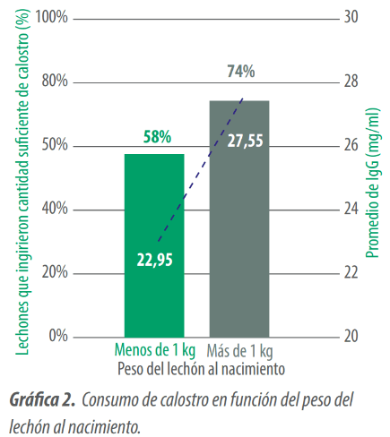 grafica 2