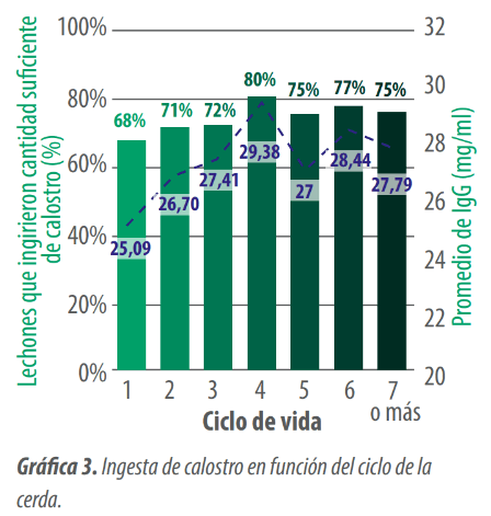 grafica 3