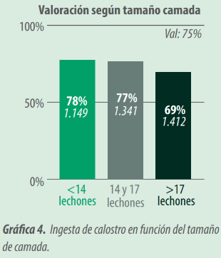 grafica 4