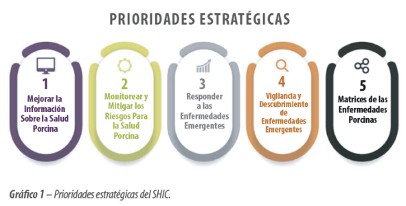 diagnóstico