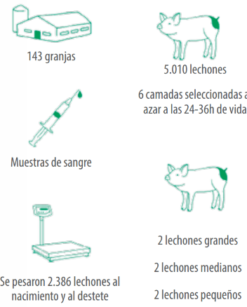 informacion