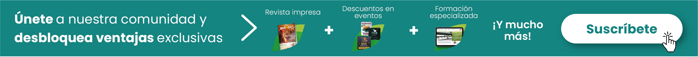 suscripciones porcinews