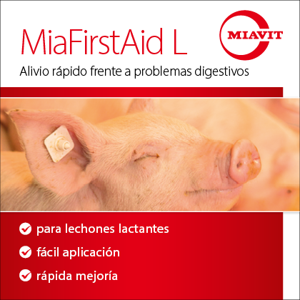 Miavit junio 2025