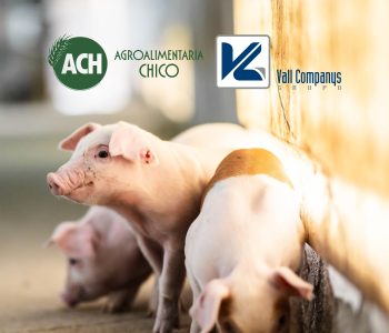 Vall Companys ha confirmado la toma del control exclusivo de Agroalimentaria Chico, la empresa familiar especializada en raza Duroc.