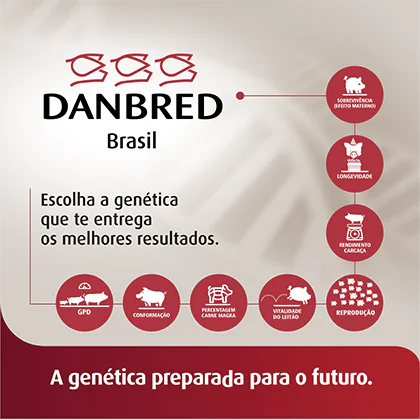 http://Danbred%20|%20suinoBrasil%20|%20Até%2017/10/2025