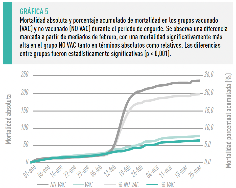 grafica 5