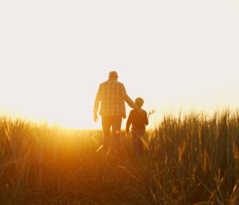 Castilla y León impulsa el relevo generacional en el campo con medidas que movilizan jóvenes, tierras y financiación para fortalecer el sector