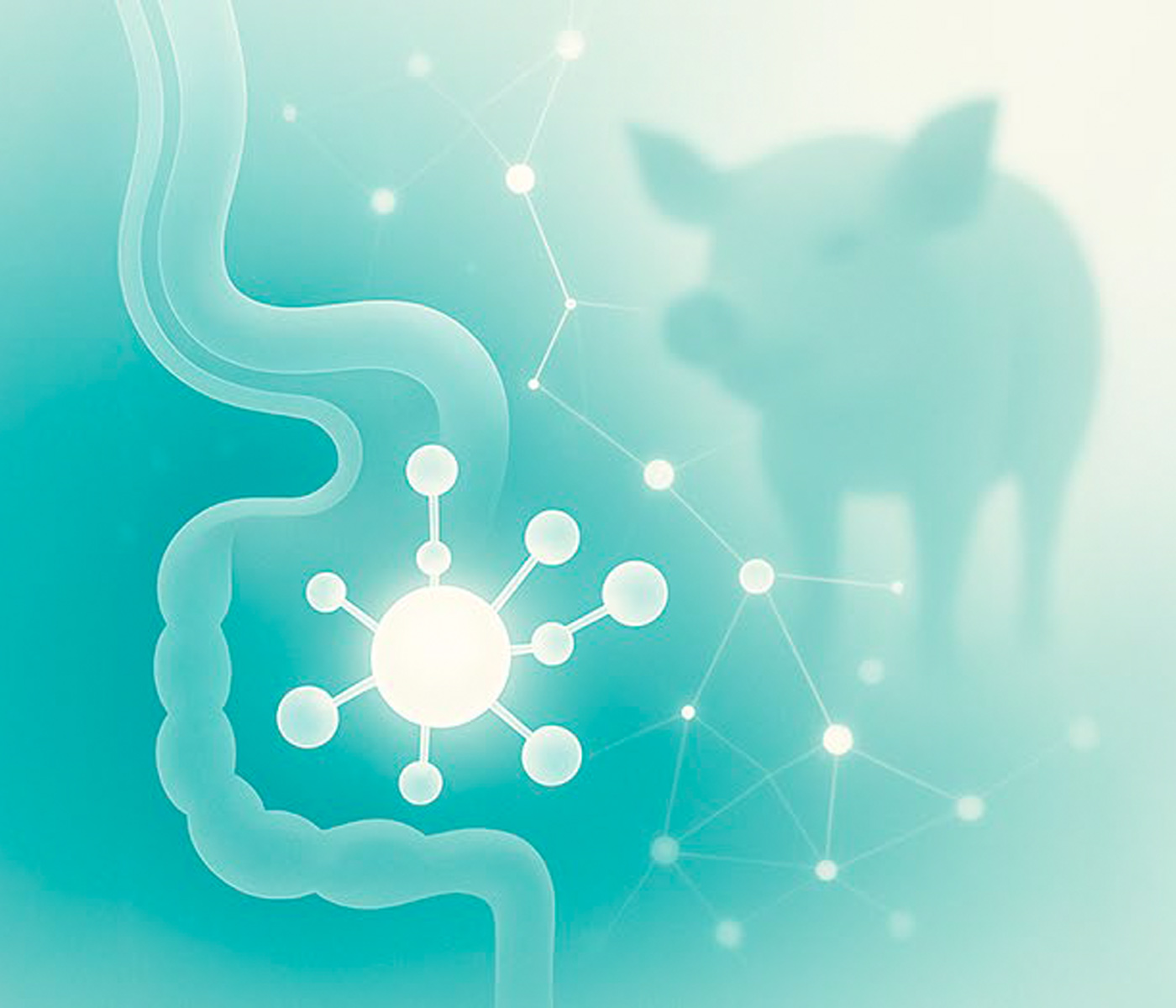 EDITORIAL Julio 2025 – Nutrir lo invisible