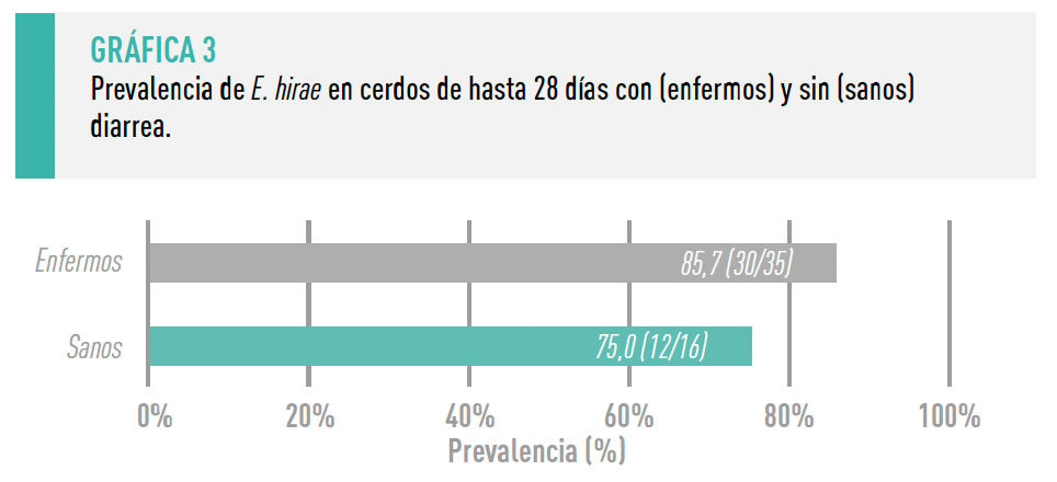 grafica 3