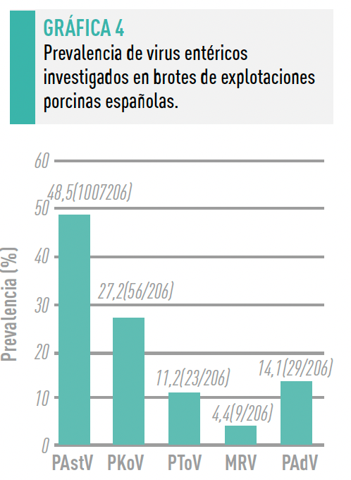 Grafica 4