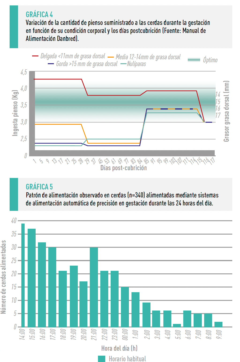 Grafica 4y 5