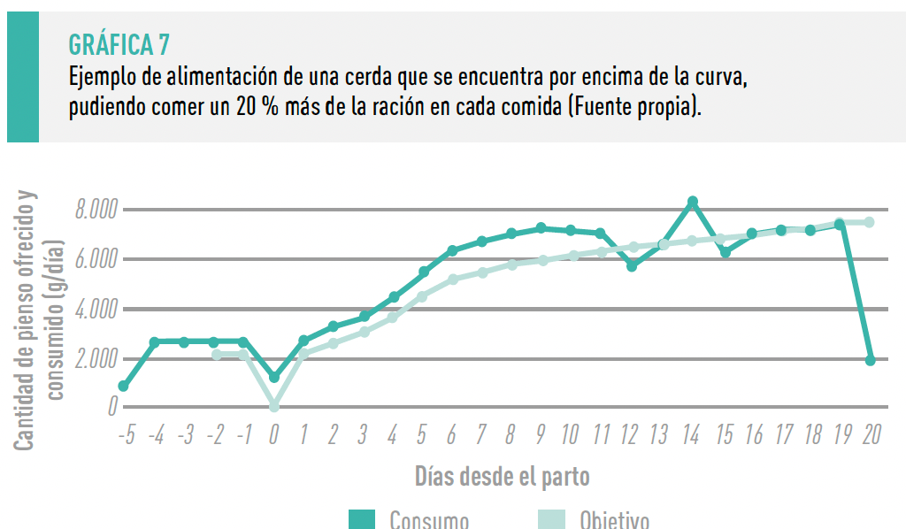 Grafica 7