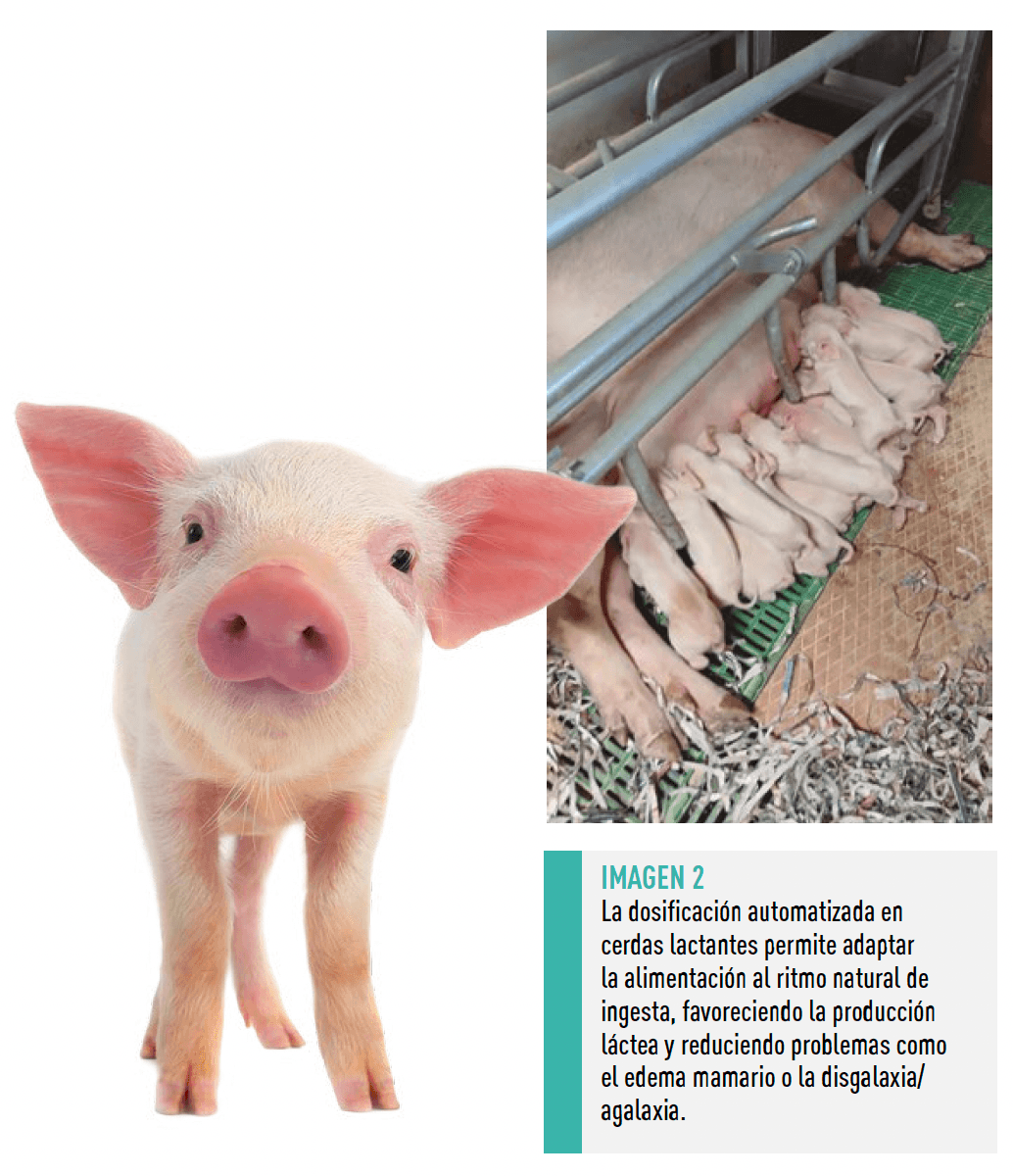 Imagen2