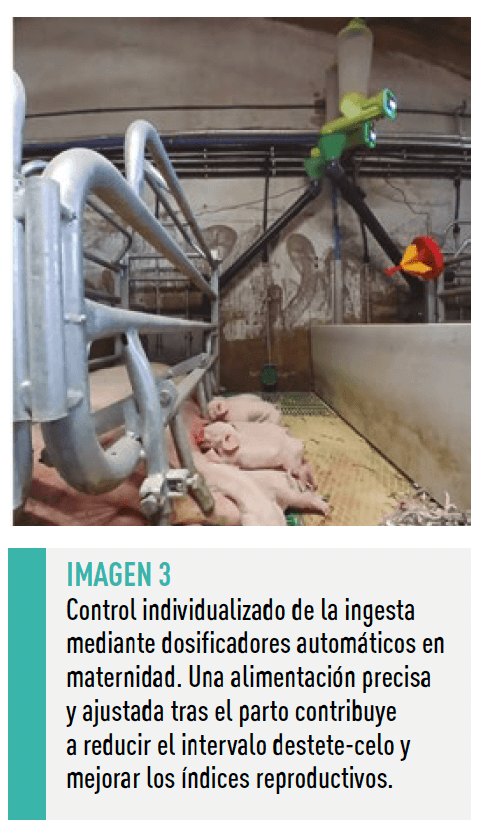 Imagen3