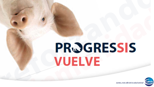 Ceva Progressi vuelve a estar disponible para hacer frente al virus PRRS tras estar un tiempo sin poder suministrarse.