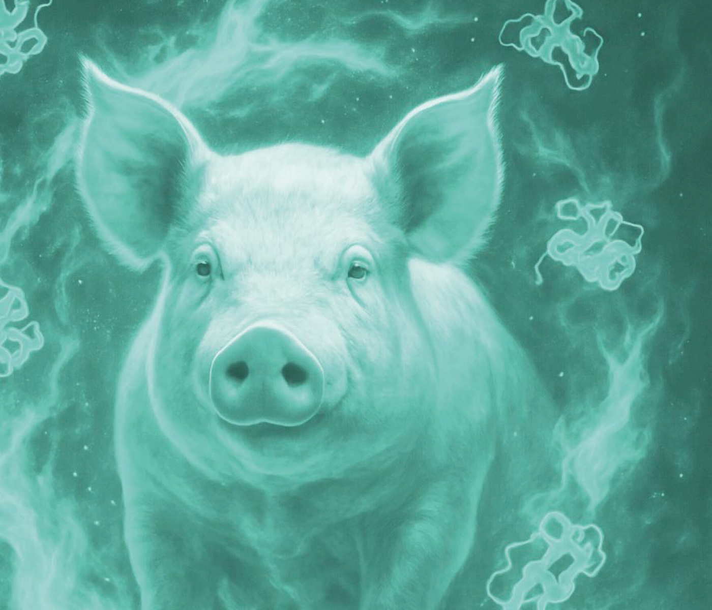 Más allá de la proteína: el impacto de la energía en el cerdo de cebo