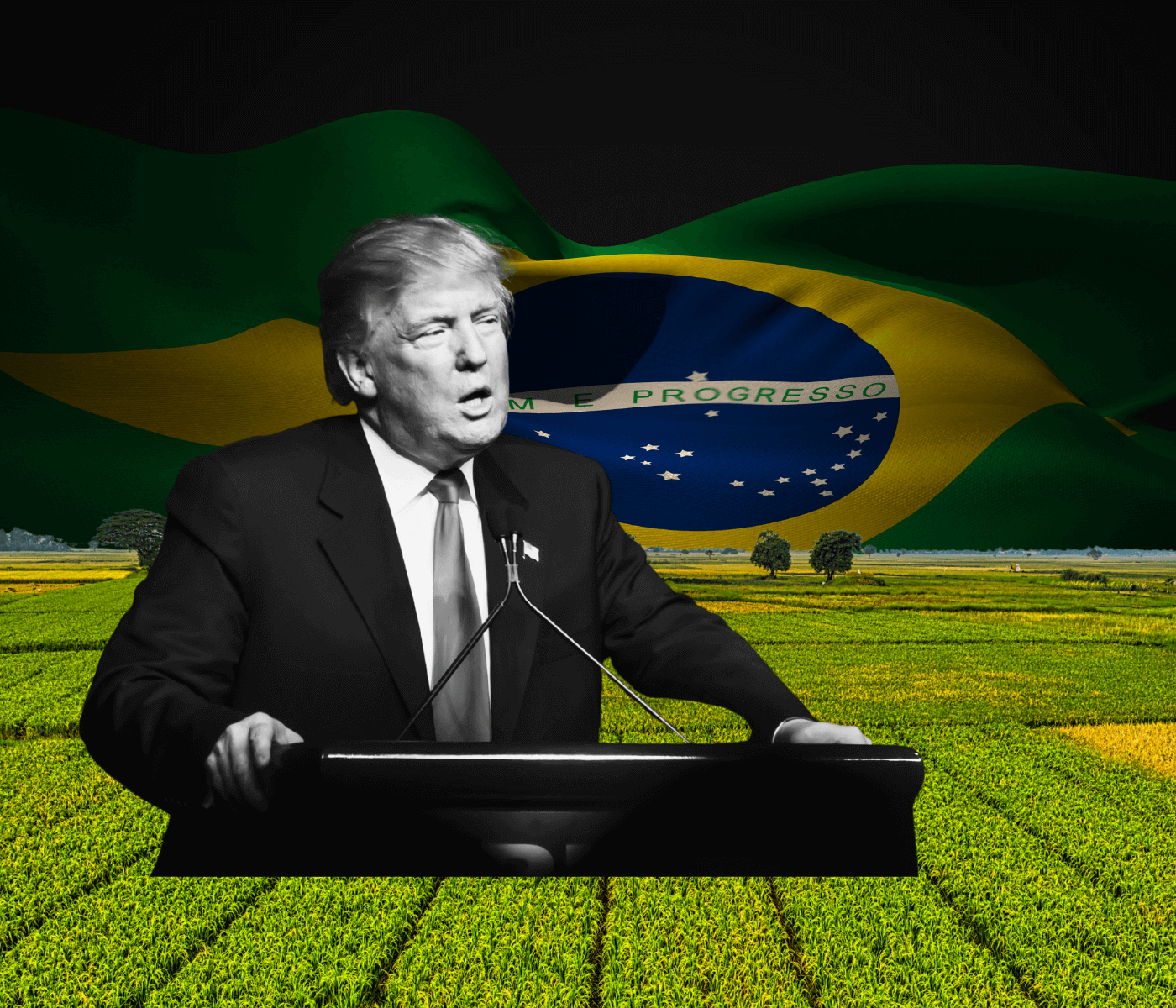 Tarifaço de Trump ameaça competitividade do agro brasileiro, aponta Cogo Inteligência