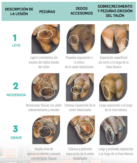 figura 2