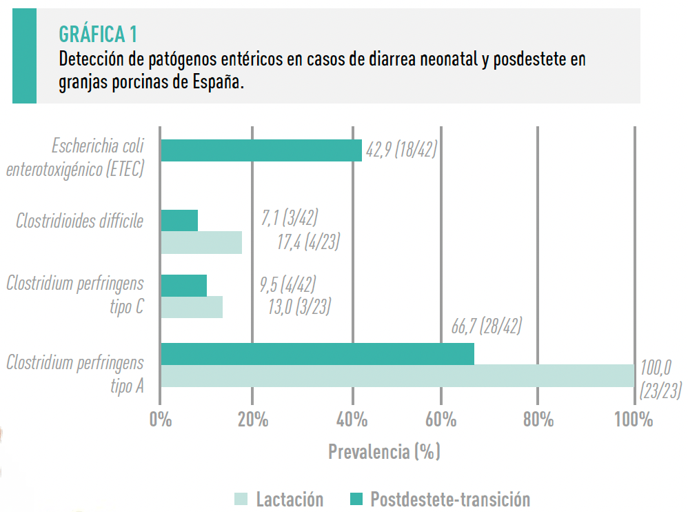 grafica 1