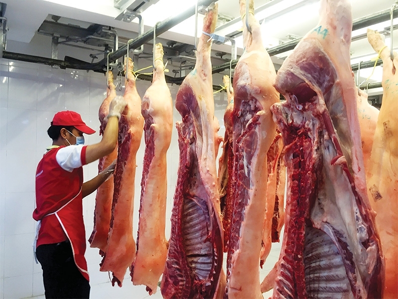 Pork prices in Vietnam tumble as ASF spreads