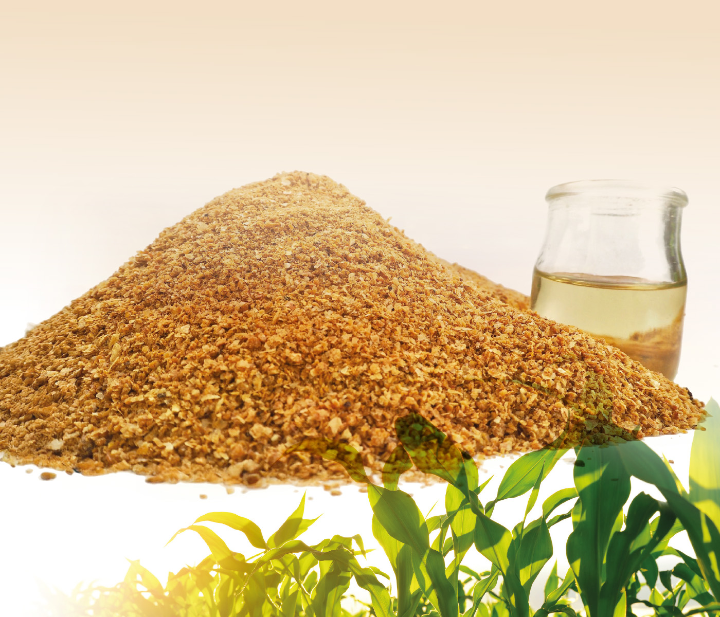 Uso de DDGS na nutrição de suínos: potencial nutricional e impactos no desempenho animal