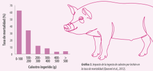 Gráfica 3. Impacto de la ingesta de calostro por lechón en
la tasa de mortalidad (Quesnel et al., 2012).