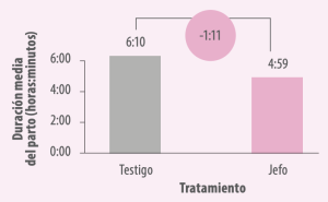 Gráfica 4. Duración media del parto