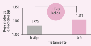 Gráfica 5. Peso medio al nacimiento de los lechones según
el tratamiento de las cerdas.