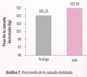 Gráfica 7. Peso medio de la camada destetada.